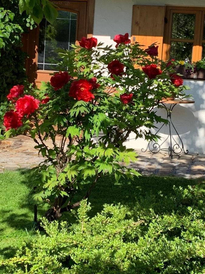 Ferienwohnung Fanese Флінтсбах Екстер'єр фото